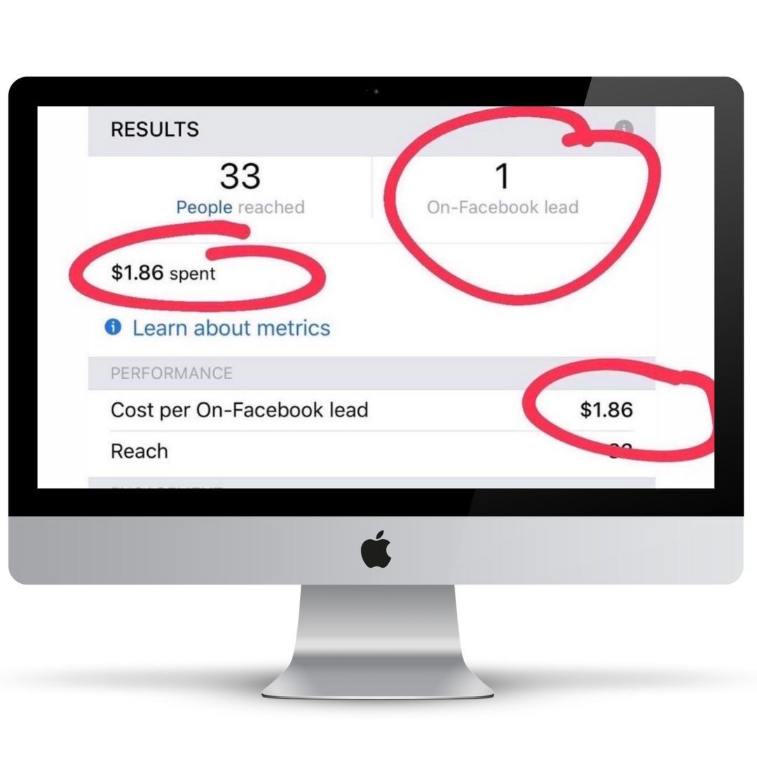 Campaign reporting screenshot, reach and leads