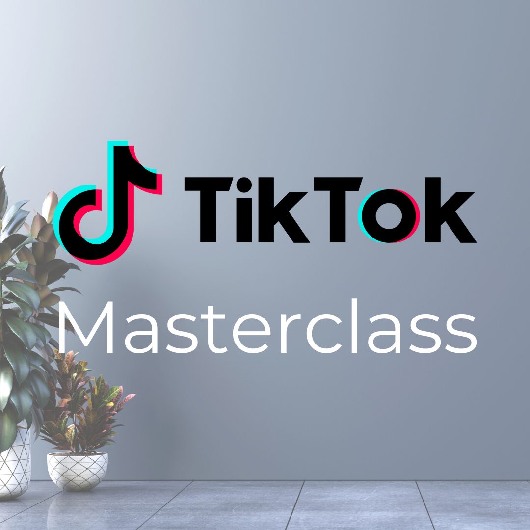 TikTok masterclass session